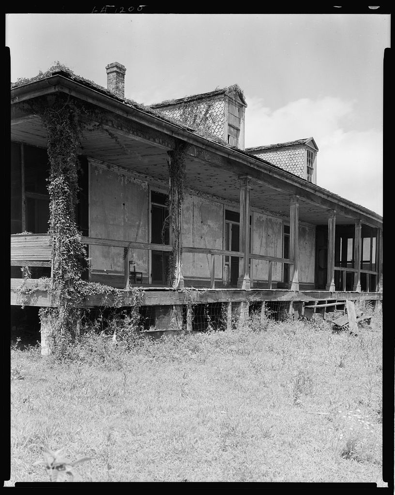 Illustration for article titled Louisiana: Part II